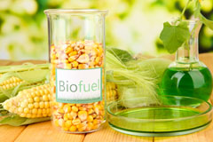 Blaenau Ffestiniog biofuel availability